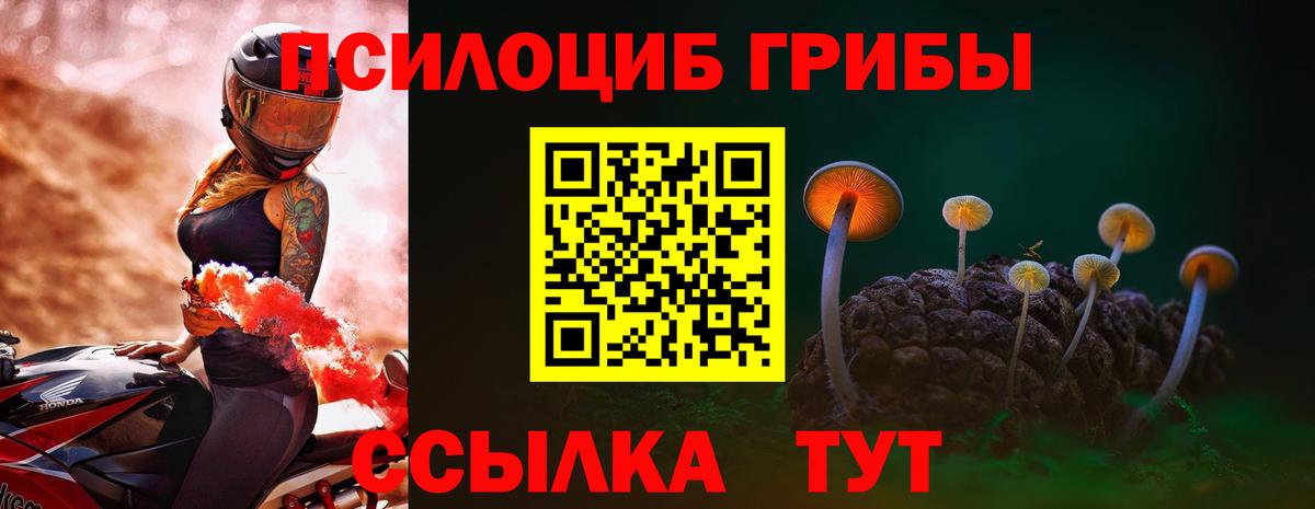 Псилоцибиновые грибы GOLDEN TEACHER  Вход с VPN  Усинск 